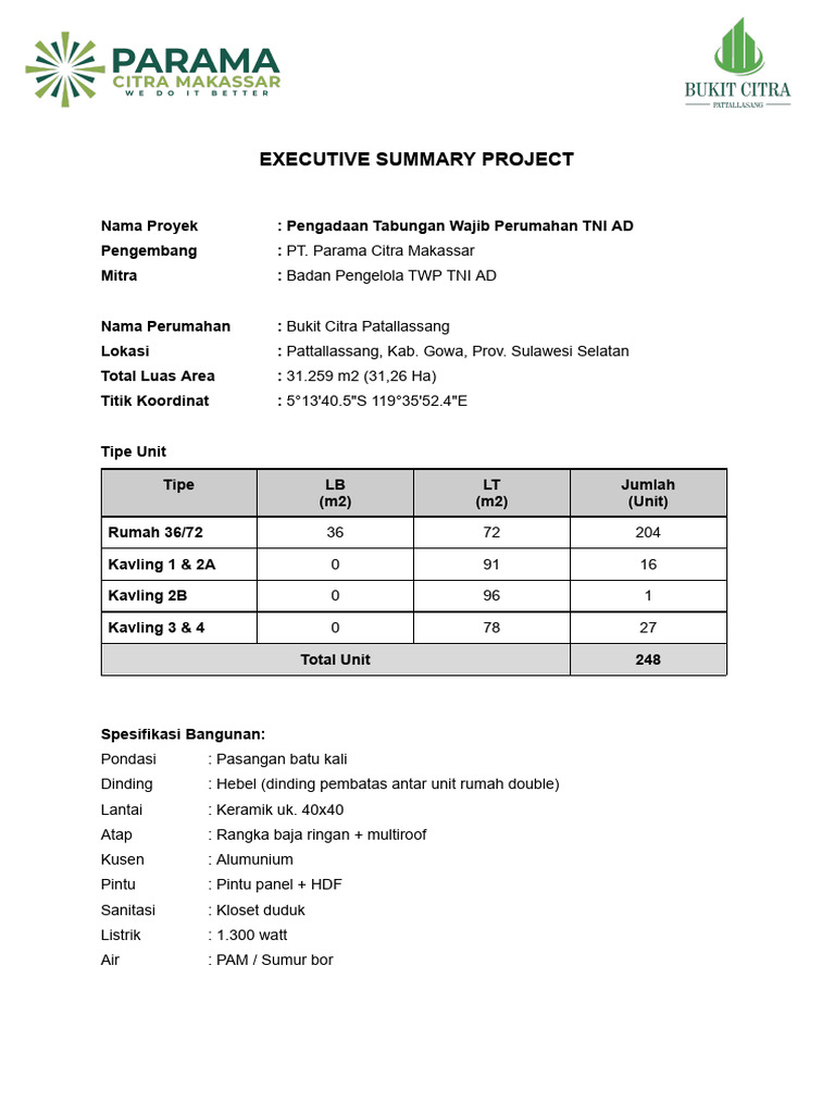 Executive Summary Project Pdf