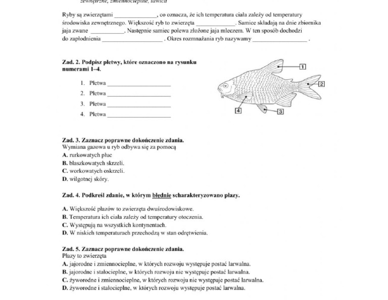 Sprawdzian 2 Gm Bilogia Odychanie Spra.pl