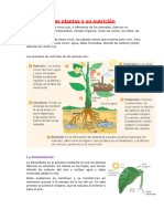 Ficha de Ciencia y Ambiente La Luz Solar.