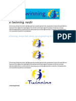 E Twinning Nedir