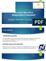 Resumen Diagnostico Industrial - Grupo Mirasol Dae