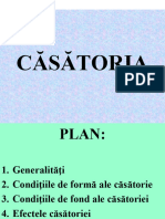 Tema 9Casatoria