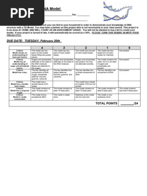 Grading Rubric for DNA Model