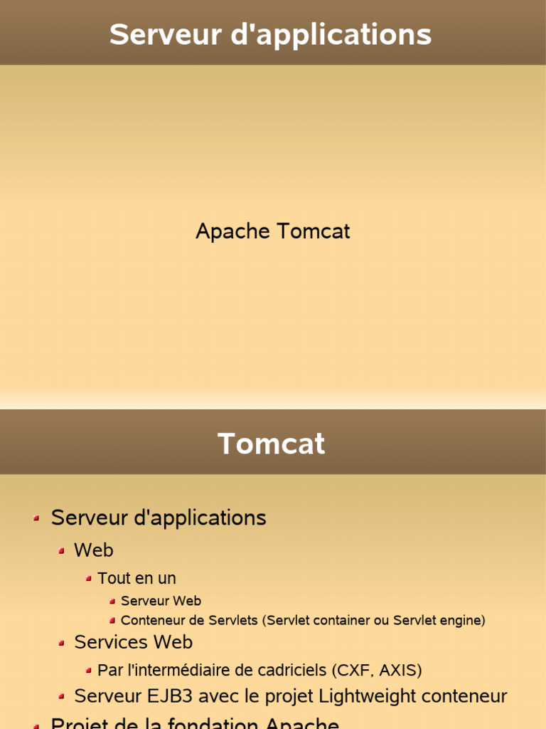 Guide sur le Serveur Apache Tomcat | PDF | Internet | Internet et Web