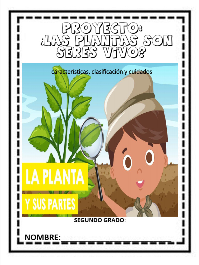Proyecto sobre las plantas en segundo grado | PDF | Salud y bienestar ...