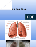 Radiografía y TAC de Tórax