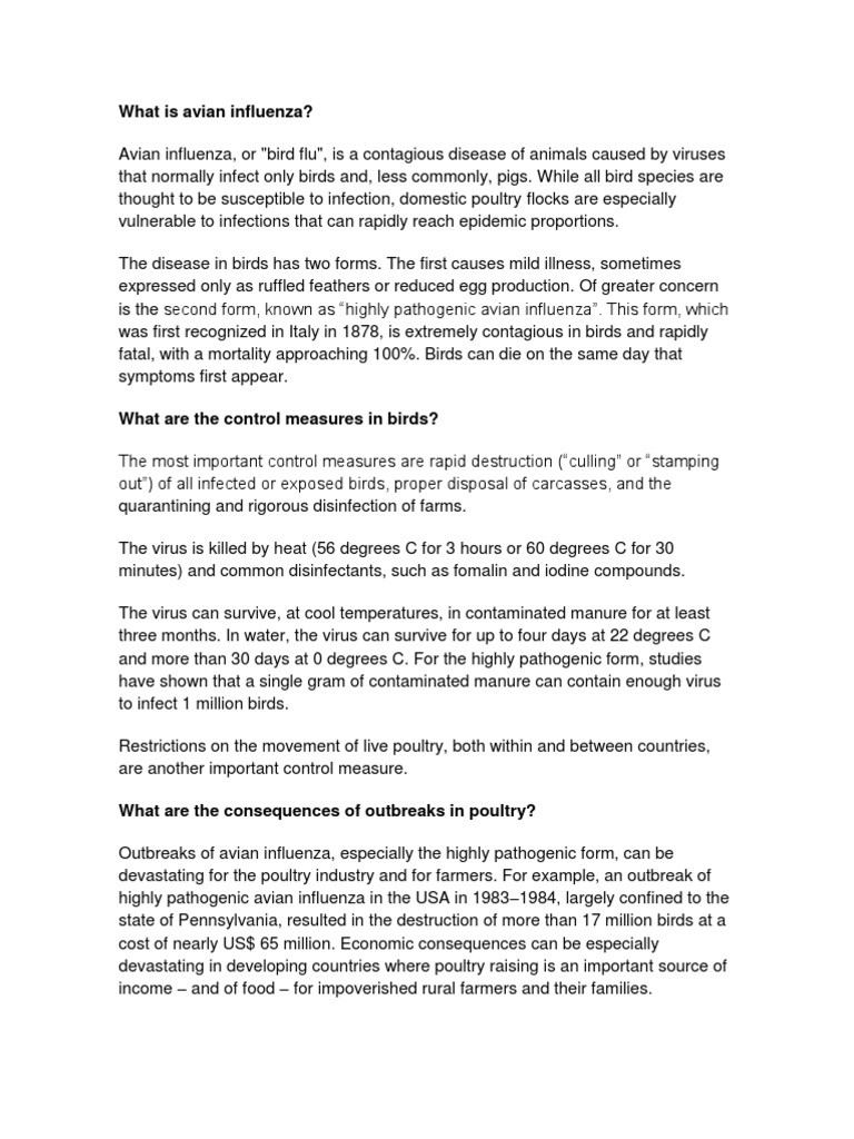 What Is Avian Influenza? | PDF | Avian Influenza | Influenza A Virus ...