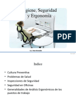 Higiene Seguridad y Ergonomia