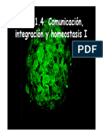 Tema 1.4 Señalización-Comunicación-Homeostasis I (Modo de Compatibilidad)