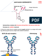 Pdf24 Merged 2