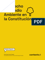 El Derecho Ambiental en La Constitucion