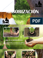 Arborizacion