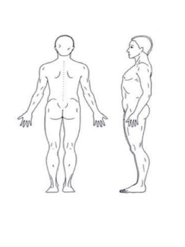 Anatomical Position PDF