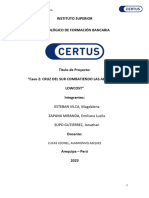 Caso Cruz Del Sur - Trabajo Grupal