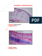 Examen de Imagenes Histo