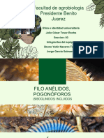 Jorge Garcia Bruno Tadeo Zoologia Anilelos Seccion 03