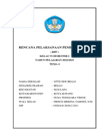 RPP Tema 4