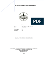 PDF Laporan Miktek Hewan Embedding Ginjal Compress