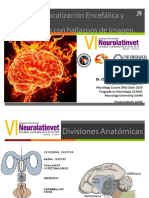 PDF Neurolocalizacion Encefalica y Correlacion de Imagen Compress