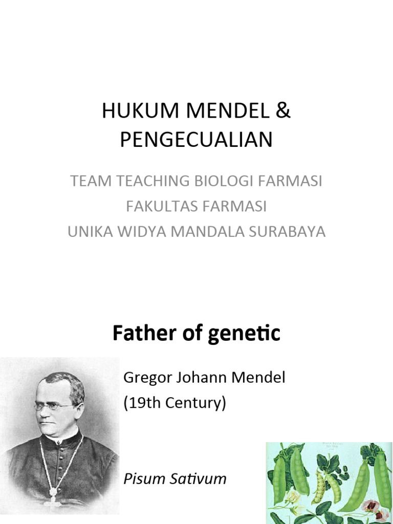 10 Genetics I Mendelian Law 1 Pdf Allele Dominance Genetics