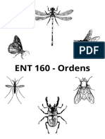 ENT 160 - Ordens