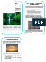 Diptico Del Medio Ambiente