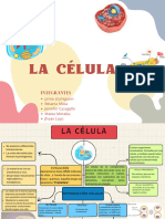 Mapa Conceptual de Citología - Jaime Llumigusin