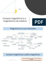 Campos Magnéticos e o Magnetismo Da Matéria