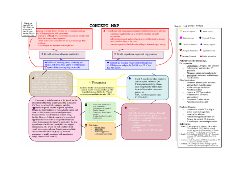 Concep Map | PDF