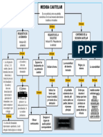 Medida Cautelar Mapa Fina