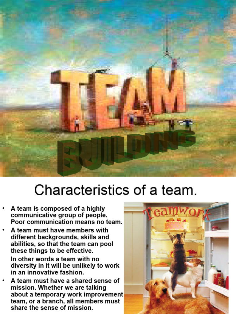 Key Characteristics of Effective Teams | PDF | Leadership | Cognition