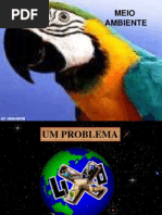 Trabalho de Meio Ambiente II