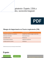 Presentación - Tracto Respiratorio Esputo, LBA y Bronquiales, Secreción Traqueal en Micología RG