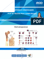 Hemostasia e Coagulação - Completa - 08 03 22