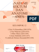 Kelompok 12 Anfisman 2023c