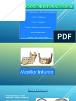 Maxilar Inferior PDF