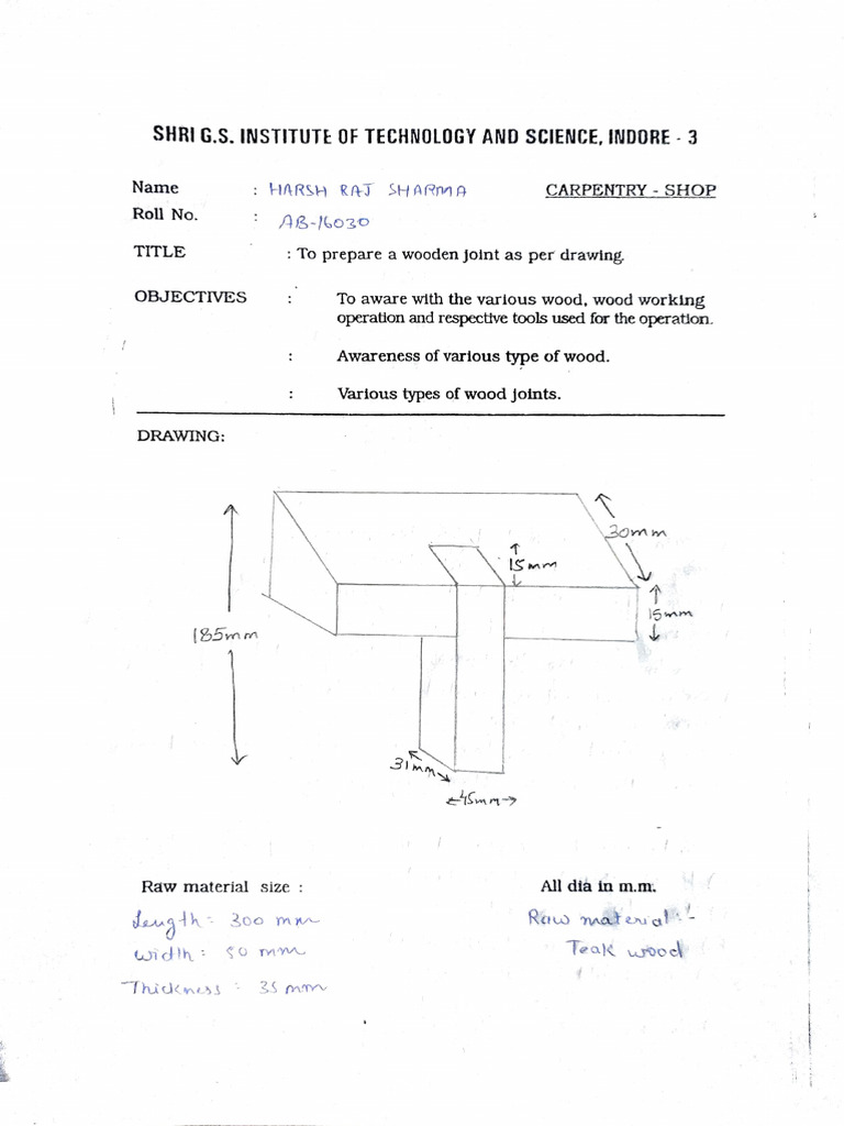 Carpentry Shop Pdf Carpentry Materials