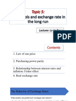 Topic 5. Price Level PPP