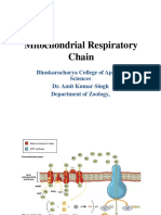 Mitochondrial Respiratory Chain: Bhaskaracharya College of Applied Sciences Dr. Amit Kumar Singh Department of Zoology