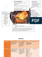 H. Pylori y Protectores Gástricos