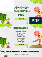 Presentación Taller Infantil de Huerta Ilustración Verde y Naranja