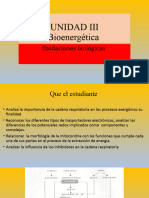 UNIDAD III Bioenergetica