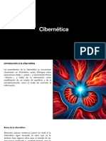 Tgs Cibernetica