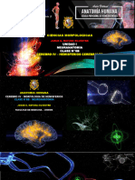 AH TM - Clase N°06b - Neuroanatomia - Cerebro IV - Morfologia Interna de Los Hemisferios TM UNMSM