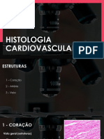 Histologia Cardiovascular