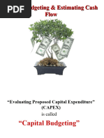 Cap Budgeting-Cash Flows