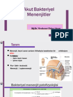 Akut Bakteriyel Menenjitler