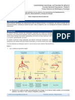 Taller Integracion Neuroendocrina-2