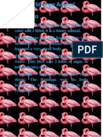 Facundo Flamingo