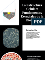 Clase02 La Estructura Celular Fundamentos Esenciales de La Biologia